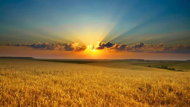 Campo Por Do Sol