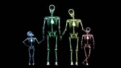 Familia Raio X