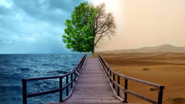 Terra Entre Climas