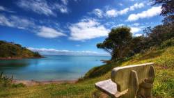 Beach Wooden Bench Wide