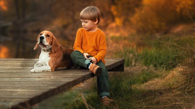 Criança Com Seu Cachorro No Bosque Sentado