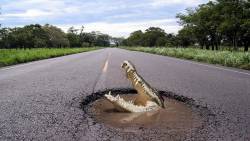 Estrada Buraco Crocodilo