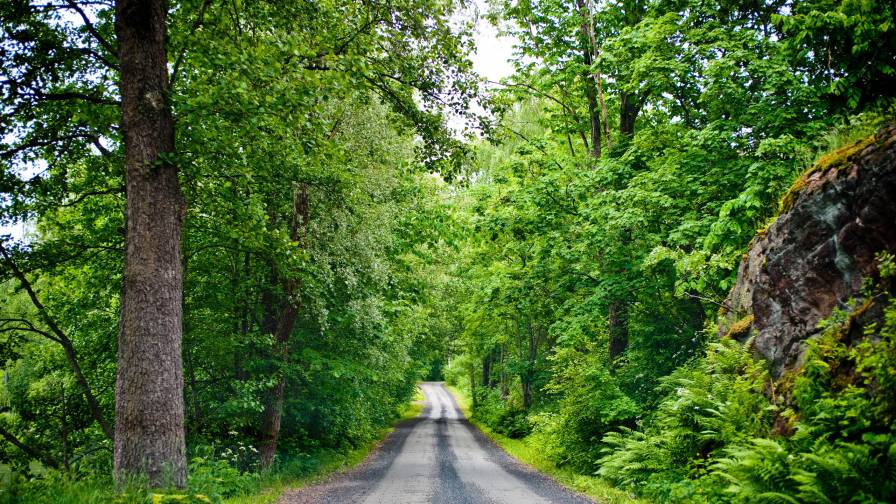 Landscape Street 5 Wide