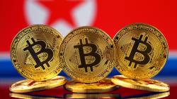 Moeda Coin BitCoin Digital Decentralized Peer To Peer
