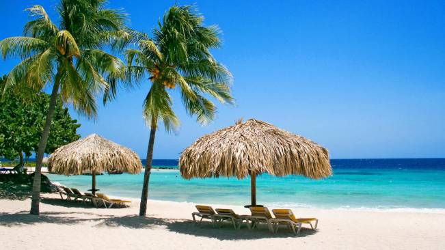 Nature Beach Netherlands HD