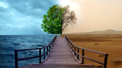 Terra Entre Climas